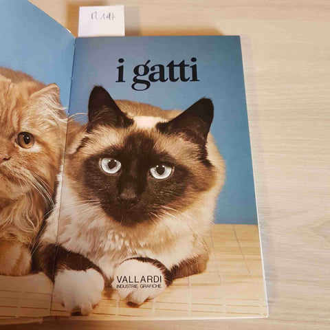 I GATTI - VALLARDI - 1984