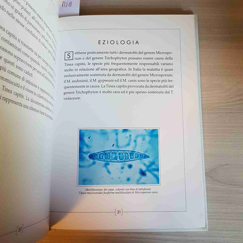 GUIDA ALLA DIAGNOSI E AL TRATTAMENTO DELLE MICOSI - CULTURA DERMATOLOGICA - 1988