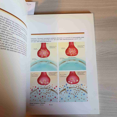 ELEMENTI DI ANATOMIA E FISIOPATOLOGIA DEL SISTEMA NERVOSO CENTRALE - LEDERLE