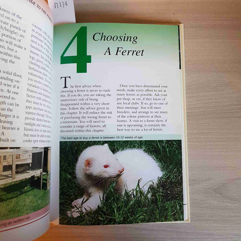 FERRET furetto PET OWNER'S GUIDE TO THE - DENNIS KELSEY WOOD - RINGPRESS - 1999