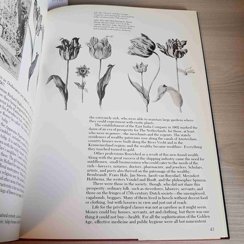 THE BOOKS OF TULIPS - TOM LODEWIJK - CASSELL - 1979 tulipani tulipano