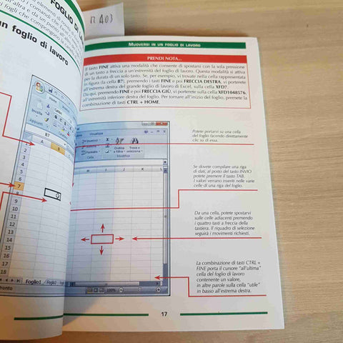 CALCOLI E GRAFICI CON EXCEL - CLAUDIO COLOMBO - APOGEO - 2008