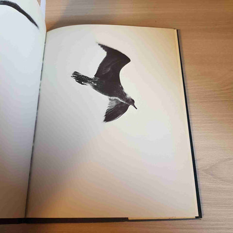 IL GABBIANO JONATHAN LIVINGSTON - RICHARD BACH - RIZZOLI - 1996