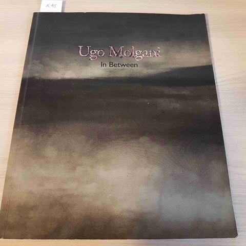 UGO MOLGANI IN BETWEEN - CLAUDIO GRENZI EDITORE - 2016