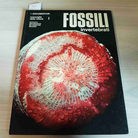 I FOSSILI INVERTEBRATI MERAVIGLIE DELLA NATURA - DE AGOSTINI - 1972