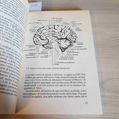 IL NOSTRO CERVELLO COME FUNZIONA E COME USARLO - TEMPLE - ECONOMIA LATERZA -1997