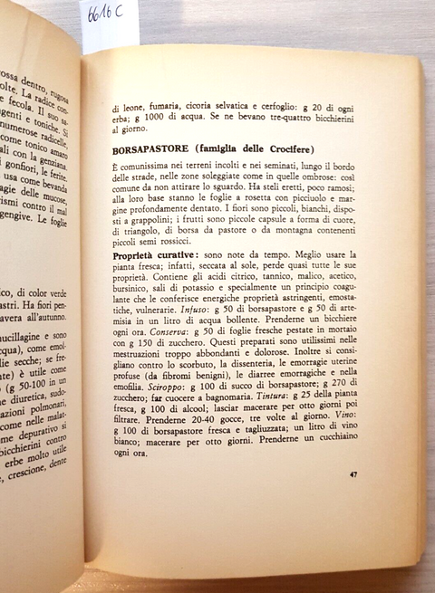 CURATEVI CON LE ERBE manuale medico pratico VARVELLO 1967 DE VECCHI medicina
