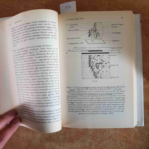 I RITMI DELLA VITA gli orologi biologici FOSTER KREITZMAN 2004 LONGANESI