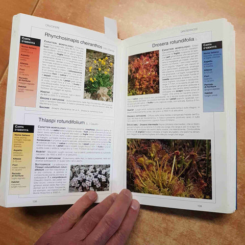FIORI DI MONTAGNA conoscere osservare fiori alpini GUIDE COMPACT DE AGOSTINI