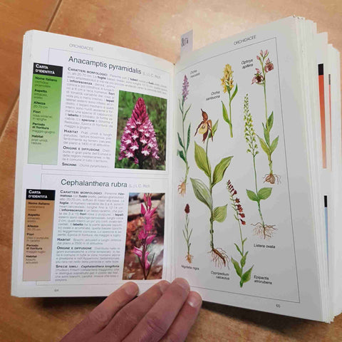 FIORI DI MONTAGNA conoscere osservare fiori alpini GUIDE COMPACT DE AGOSTINI