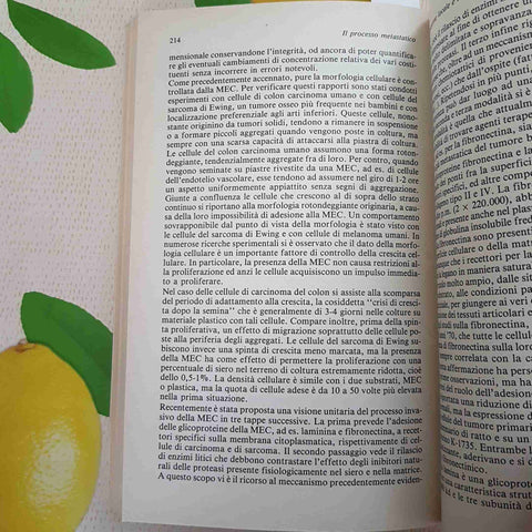 BIOLOGIA DEI TUMORI E BASI PER LA PREVENZIONE - FELICE ZADRA - MASSON - 1986