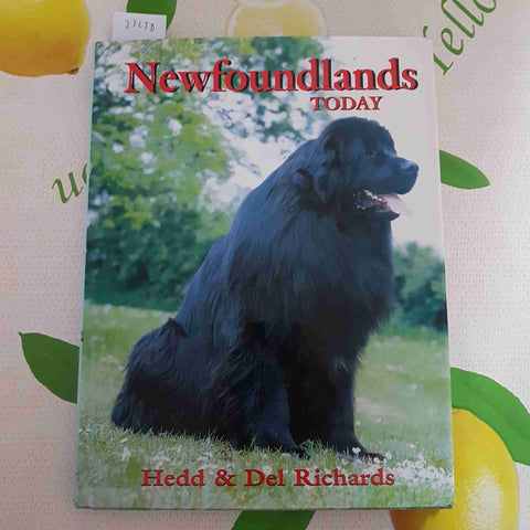 NEWFOUNDLANDS TODAY - HEDD & DEL RICHARDS - 2003