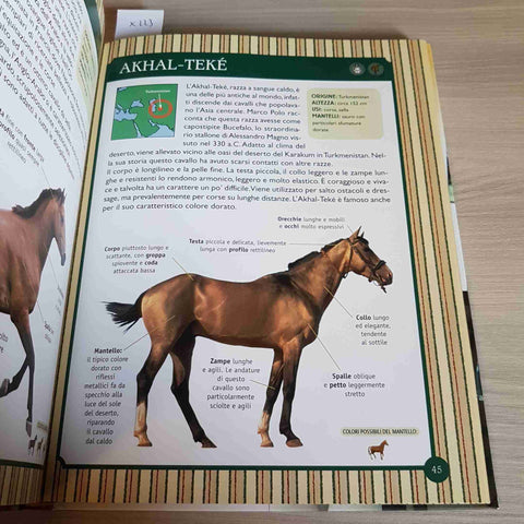 IL GRANDE LIBRO DEL CAVALLO ippica equitazione equestre GIUNTI - 2013