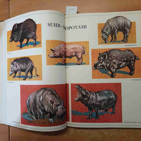 GRANDE ATLANTE DEL REGNO ANIMALE 1971 EDIZIONI CAPITOL bologna 434 illustrazioni