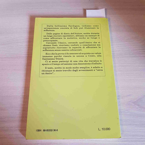 CERCANDO L'AMICO... PAGINE DI DIARIO - SALVATOR ANGELO SPANO - EDITRICE ANCILLA