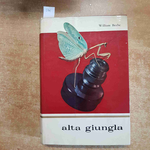 ALTA GIUNGLA William Beebe 1956 ALDO MARTELLO illustrato JUNGLA VENEZUELA