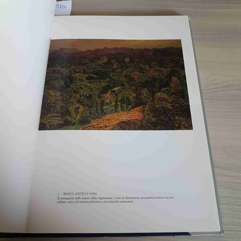 CARLO MONTI IN COLLEZIONE - ANGELORA BRUNELLA DI RISIO - POLISTAMPA -1992