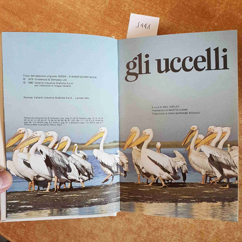 GLI UCCELLI birds 1980 VALLARDI neil ardley NOMI CARATTERISTICHE IDENTIFICAZIONE