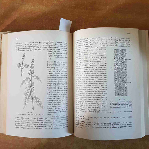 BOTANICA FARMACEUTICA Francesco Sappa 1978 LEVROTTO parte generale + speciale