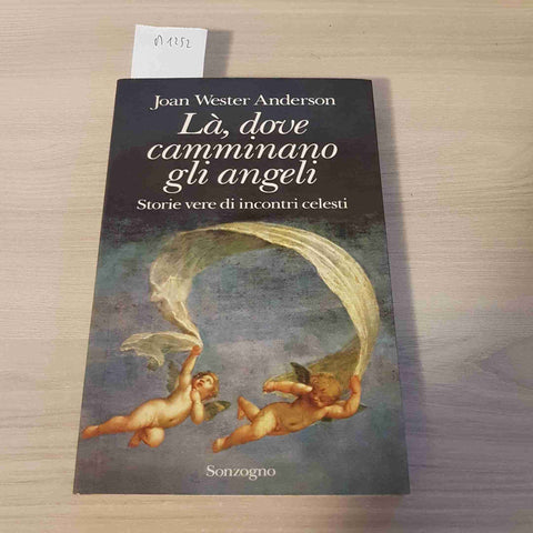 LA', DOVE CAMMINANO GLI ANGELI - STORIE VERE DI INCONTRI CELESTI 1995 ANDERSON