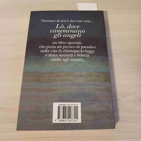 LA', DOVE CAMMINANO GLI ANGELI - STORIE VERE DI INCONTRI CELESTI 1995 ANDERSON