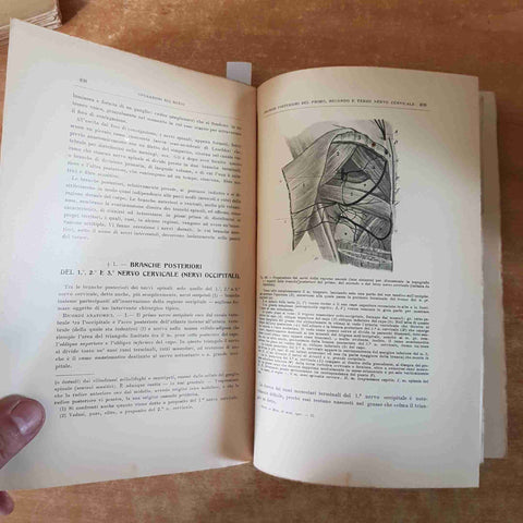 MANUALE DI MEDICINA OPERATIVA vol. 1 S. D'ESTE 1911 esercitazioni sul cadavere