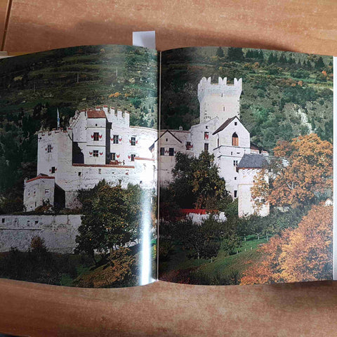 MUSEO ITALIA 2 TRENTINO ALTO ADIGE LOMBARDIA armando curcio editore MOSTRA ARTE