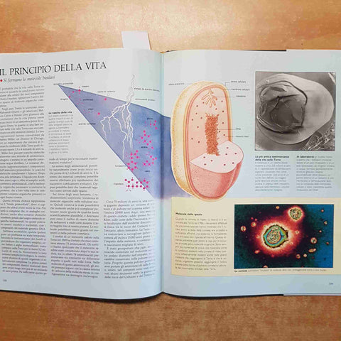 L'UNIVERSO DAL BIG BANG ALLA FINE DEL TEMPO Colin Ronan GIORGIO MONDADORI CNE