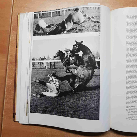 IL CAVALLO E L'UOMO  Luigi Gianoli 1967 LONGANESI I MARMI equitazione equestre