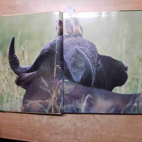 ANIMALI D'AFRICA Thomas B. Allen 1999 KONEMANN grande formato