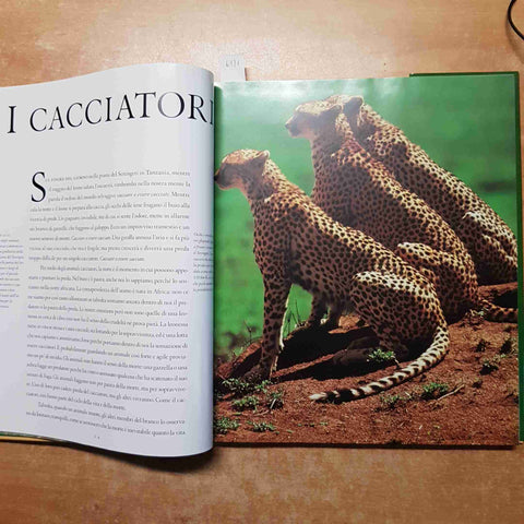 ANIMALI D'AFRICA Thomas B. Allen 1999 KONEMANN grande formato