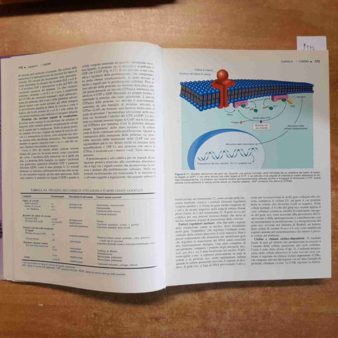 ANATOMIA PATOLOGICA kumar cotran robbins EMSI EDIZIONI MEDICHE SCIENTIFICHE 1999