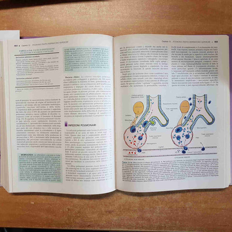 ANATOMIA PATOLOGICA kumar cotran robbins EMSI EDIZIONI MEDICHE SCIENTIFICHE 1999