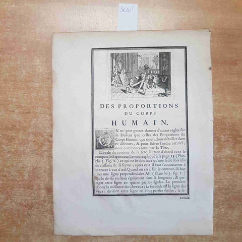 INCISIONE STAMPA FRANCESE '800 des proportions du corps humain ANATOMIA UMANA