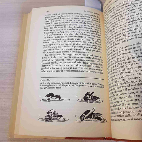 IL COMPORTAMENTO SOCIALE DEGLI ANIMALI - NIKO TINBERGEN - CDE - 1991