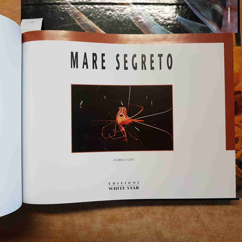 MARE SEGRETO jeffrey rotman 2001 WHITE STAR libro+cofanetto FOTO PESCI CORALLI