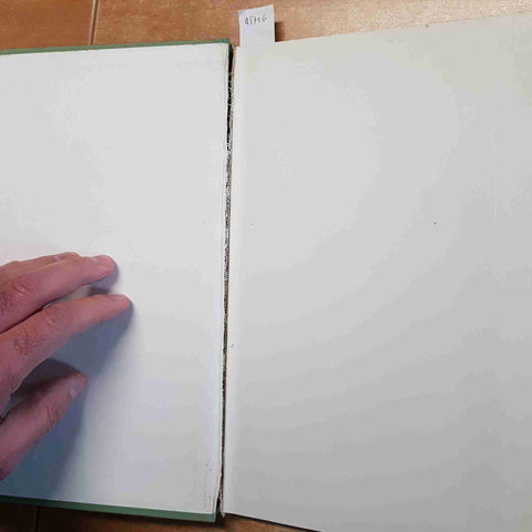 LA PITTURA ITALIANA DELL'OTTOCENTO raffaele degrada FABBRI scritto sottolineato
