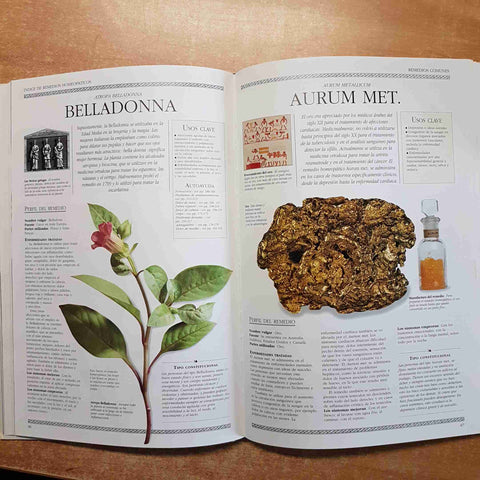 LA GUIA COMPLETA DE LA HOMEOPATIA principios practica tratamiento LOCKIE GEDDES