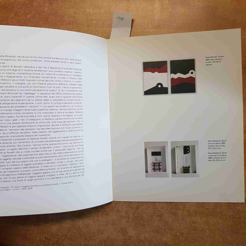 PAOLO BORRELLI ELENA MODORATI micro macro CATALOGO MOSTRA 2005 PALAZZO REZZONICO