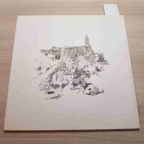 OLI AL PASSITO VIAGGIO MEDITERRANEO - TEODORO COTUGNO - N. 406 - 2012