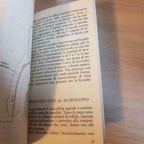 ISTRUZIONE SESSUALE PER STUDENTI SCUOLE MEDIE E GENITORI sesso ENIIO OLIVA 1982