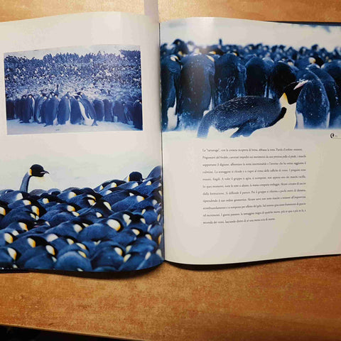 LA MARCIA DEI PINGUINI Luc Jacquet Jerome Maison L'IPPOCAMPO 2005 antartide