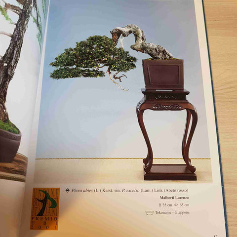 MIGLIORI BONSAI E SUISEKI 2001 - UNIONE BONSAISTI ITALIANI - 2001