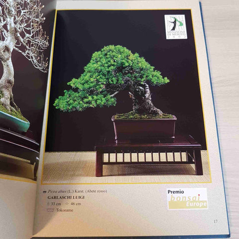 MIGLIORI BONSAI E SUISEKI 2002 - UNIONE BONSAISTI ITALIANI - 2001
