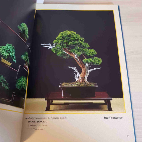 MIGLIORI BONSAI E SUISEKI 2002 - UNIONE BONSAISTI ITALIANI - 2001