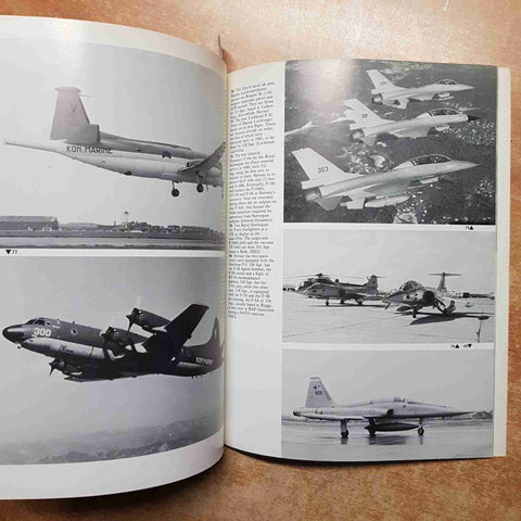 NATO AIR POWER IN THE 1980s WARBIRDS ILLUSTRATED 7 Michael J. Gething militaria