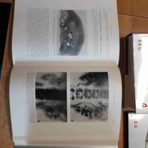 TRATTATO DI PATOLOGIA MEDICA completo in 5 volumi UGO TEODORI 1977 S.E.U. SEU