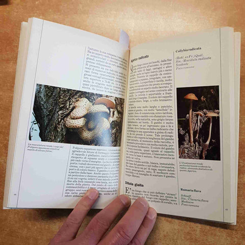 PARCO DEL TICINO I FUNGHI 1984 fabbri editori