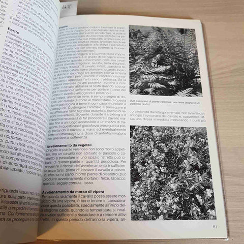 ITINERARI A CAVALLO NELL'OLTREPO' MONTANO - GIUSEPPE AMEGLIO - PAVIA - 1993