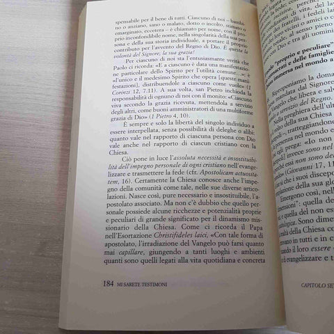 MI SARETE TESTIMONI il volto missionario DIONIGI TETTAMANZI - CENTRO AMBROSIANO